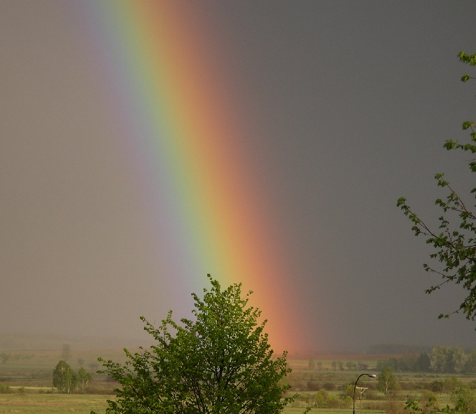 Tęcza (to nie ZF Skurcz)