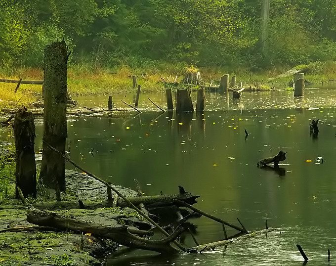 Płynie woda w strumieniu, płynie czas... nadchodzi jesień