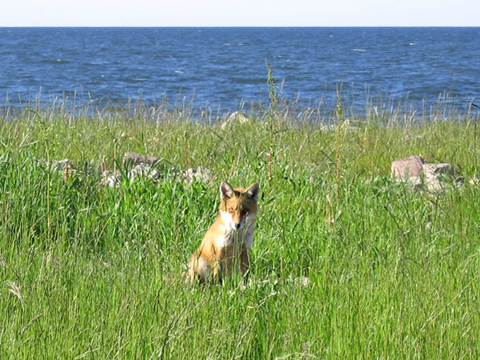 Nadmorskie spotkanie