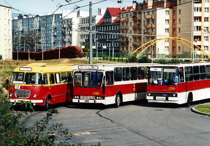 Trzej Królowie polskich miast