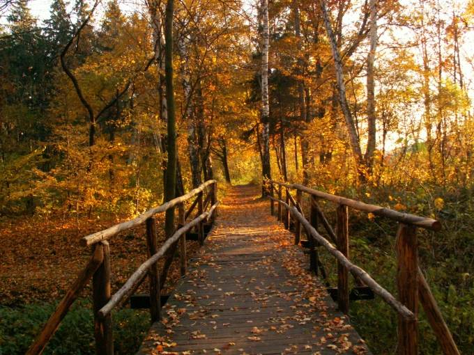 Polska złota jesień - Park w Otmuchowie