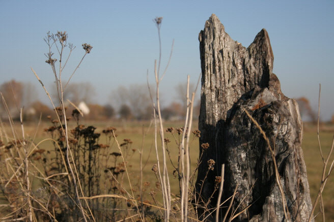 spalone życie w samotności