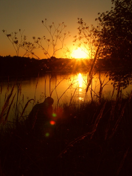 "Bushman" na zachodzie w "nadwiślańskim bushu"