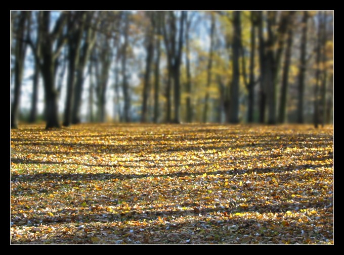 Jesień przy &#039Parkowej&#039