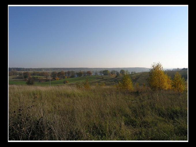 brzózki i słupy