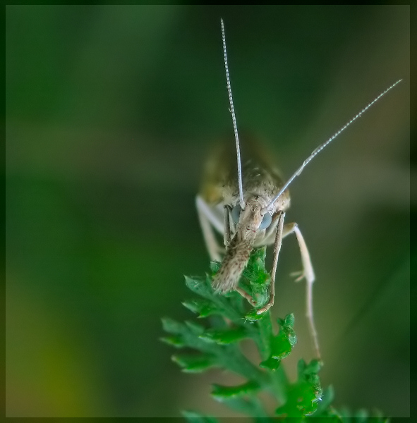 Kontynuacja szufladowej ciemki ;]