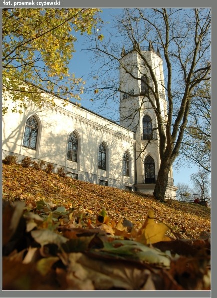 z perspektywy klonowego liścia