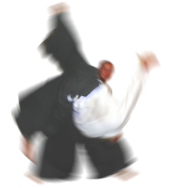 dynamiczne aikido