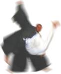 dynamiczne aikido