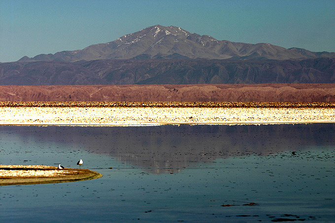 Salar de Atacama