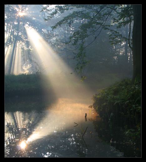 Natura bawi się ze światłem