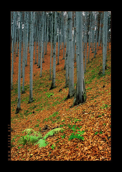 Beskid Maly