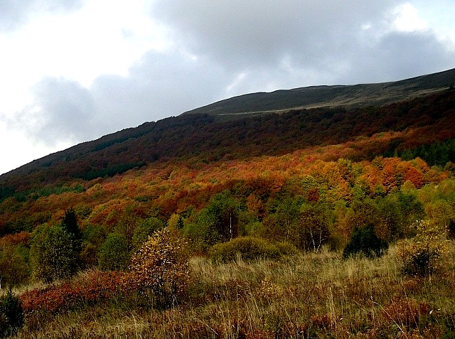 Moje Bieszczady