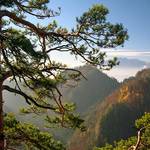 Pieniny