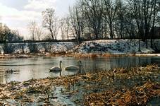 już niedługo do nas zawita - zima (5)