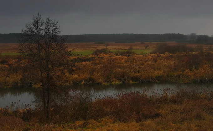 Czarne chmury nad Parkiem Biebrzańskim