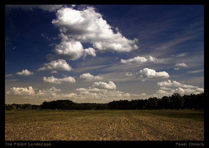 The Polish Landscape