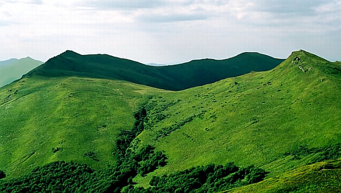 biesy jak irlandia zielone