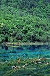 Golden Bell lake