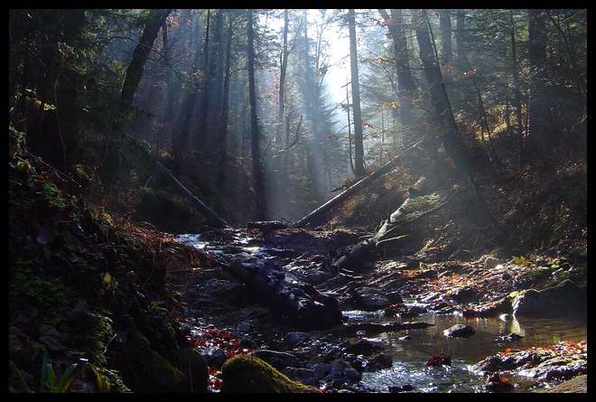 ..Zakopane...