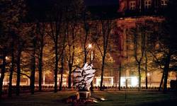 z cyklu Poznań nocą: park za zamkiem