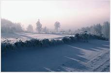 misty road na Kondratach