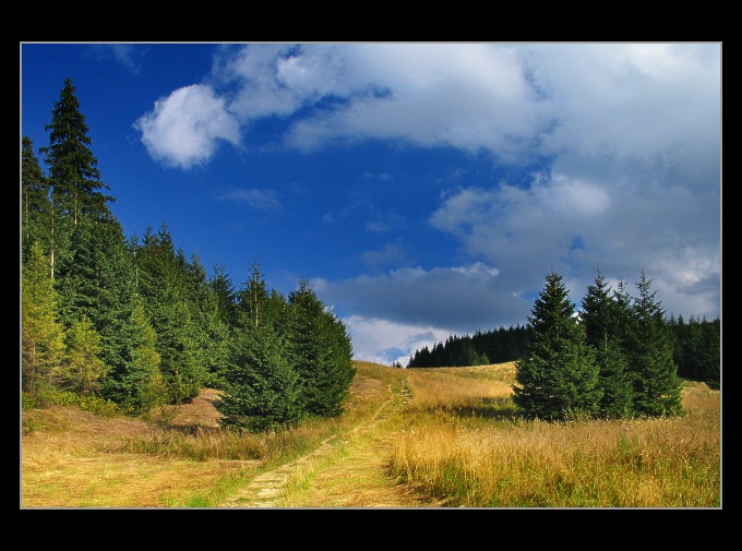 Polana Miętusia