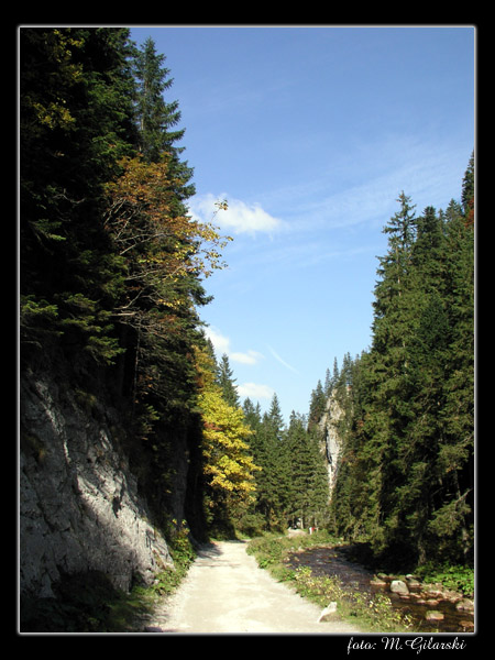 Tatry