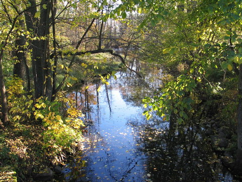 jesień nad kanałem