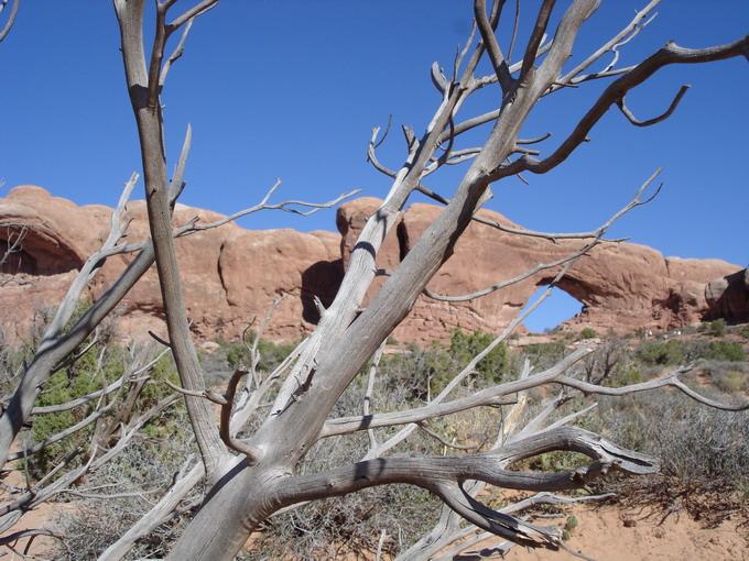 Arches park