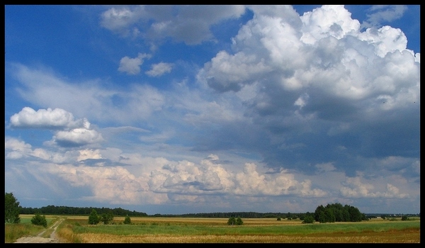 tęsknota za latem