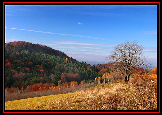 Bieszczady