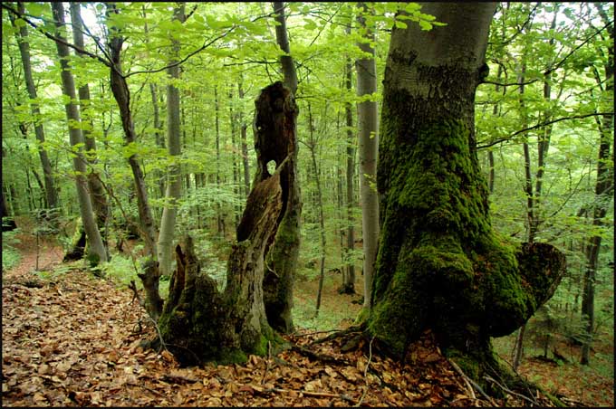 Bieszczady inaczej