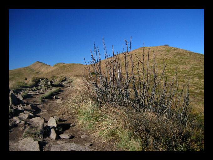 ...Bieszczady...