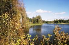 Mazury