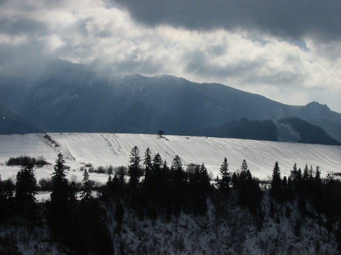 Chmury, góry, drzewa