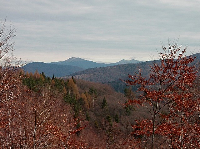 Bieszczady "Moje"