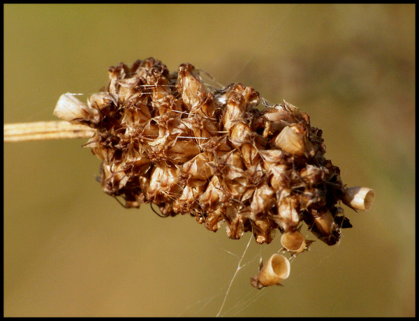 Jesienne poszukiwania