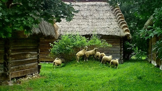 baranki na wzgórku 2