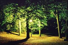 Park nocą