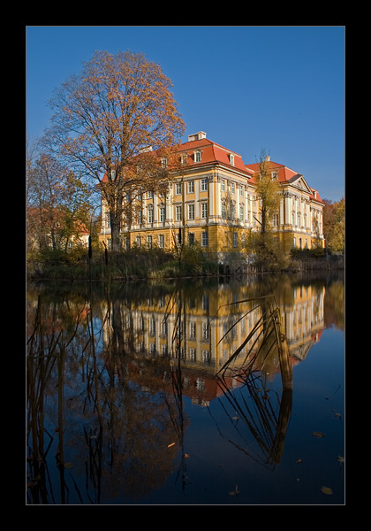 Pałac Radomierzyce