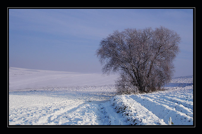 pierwszy śnieg