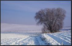 pierwszy śnieg