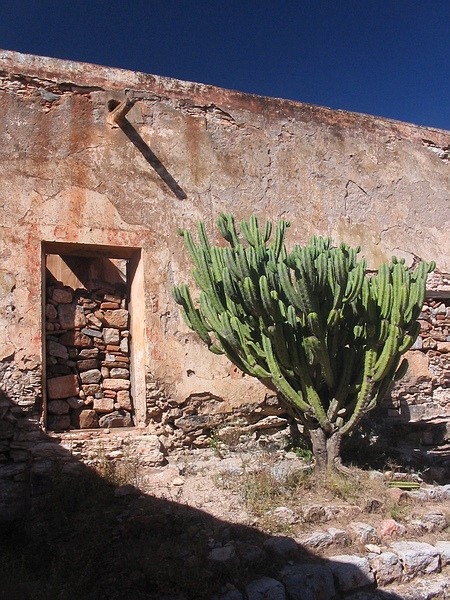 Cerro de San Pedro cd