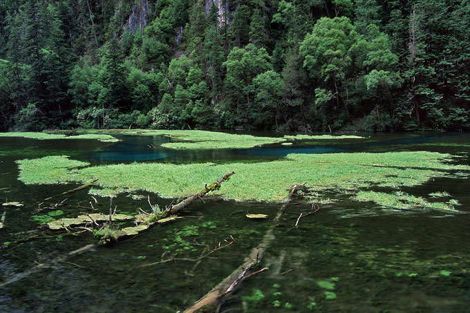 Green Lake