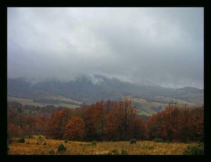 Bieszczady IV