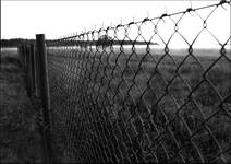 fence