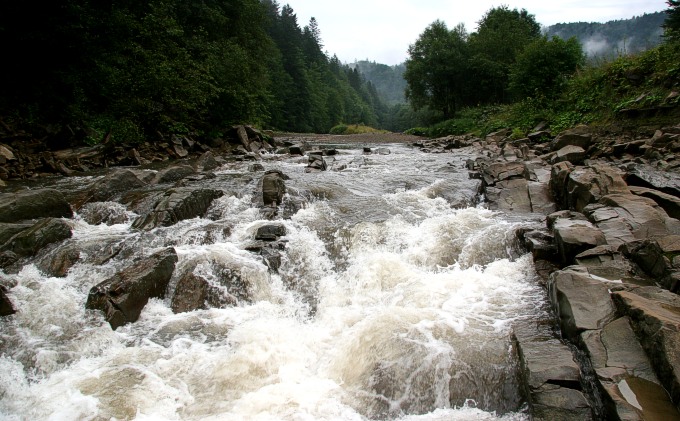 Bieszczady - rezerwat Sine Wiry - zaraz po ulewie #2