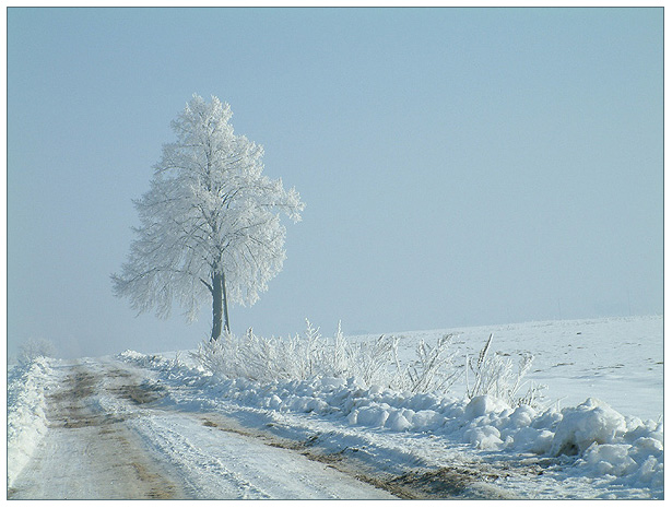 Rankiem, na południe