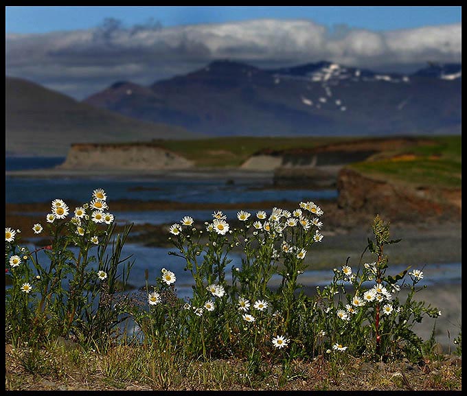 islandia latem